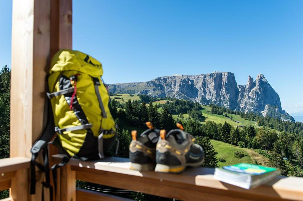 Hotel Chalet Dolomites Alpe Di Siusi Exterior photo