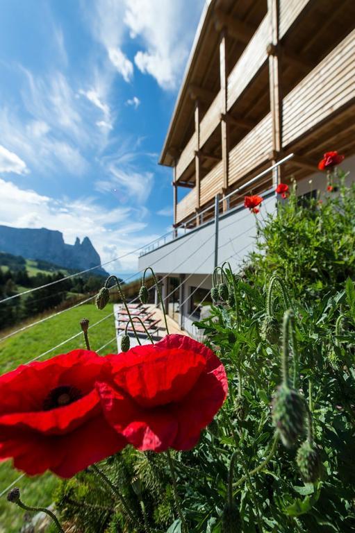 Hotel Chalet Dolomites Alpe Di Siusi Exterior photo