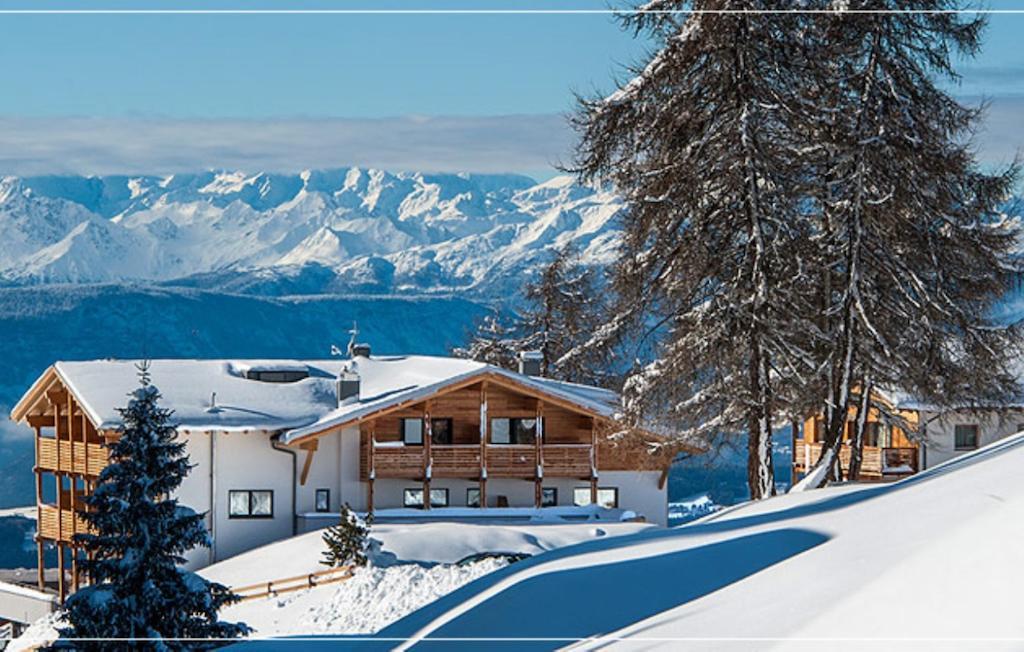 Hotel Chalet Dolomites Alpe Di Siusi Exterior photo